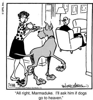 marmaduke